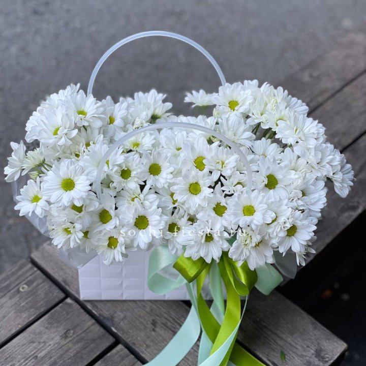 Сумка с хризантемами ромашками в Владимире