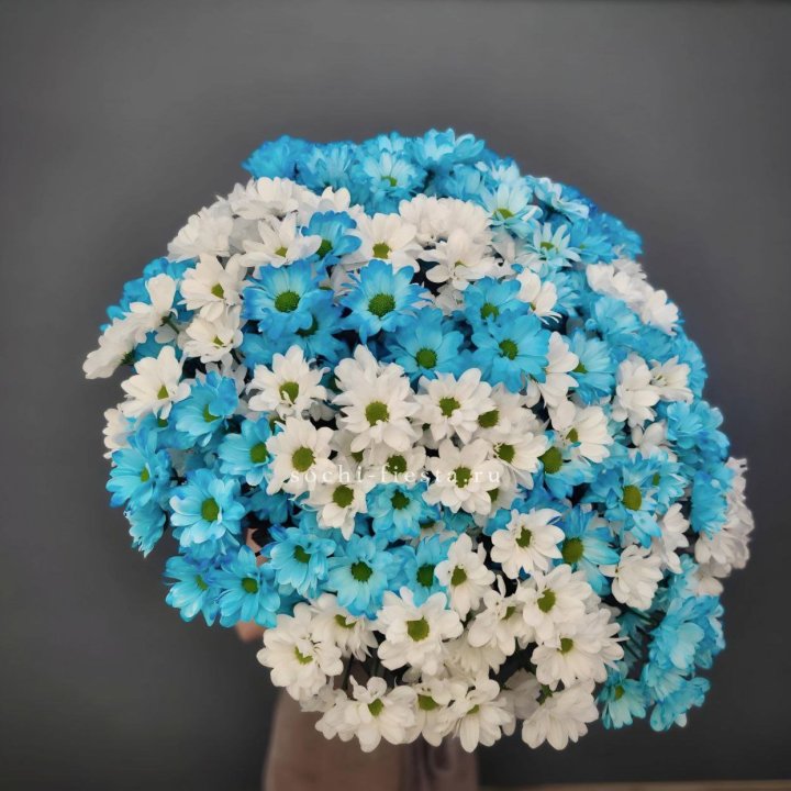  Букет хризантем микс в Владимире