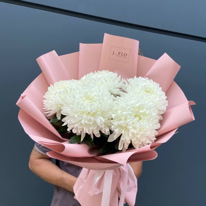 Профитроли №2 в Владимире