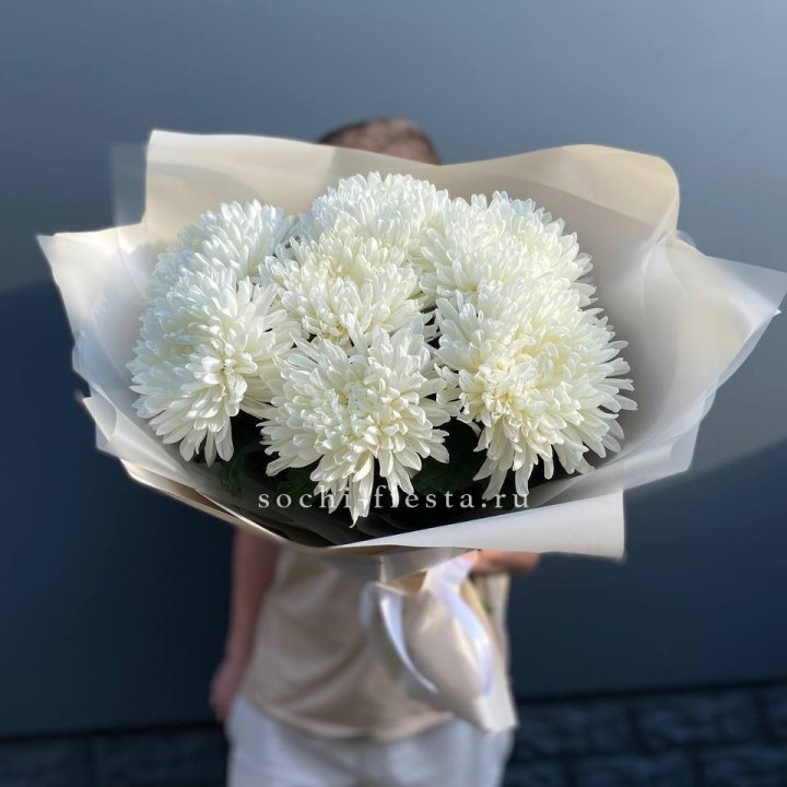 Профитроли в Владимире