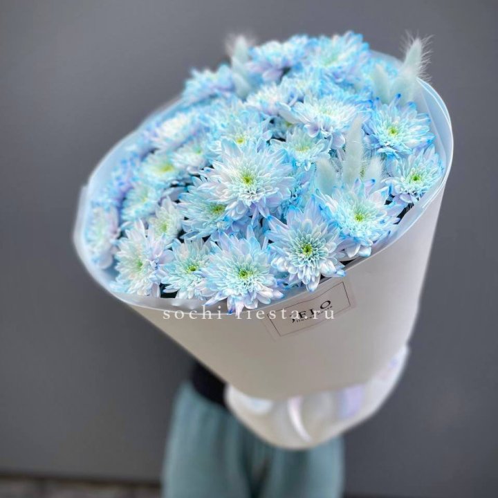  Букет нежно-голубых хризантем  в Владимире