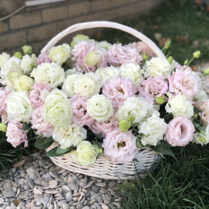 Корзина с эустомой в Владимире