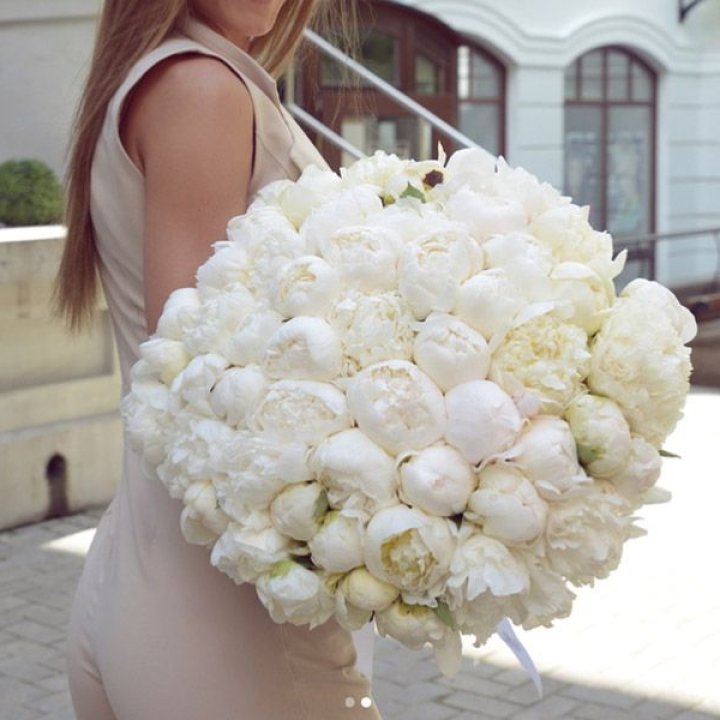 51 белый пион в Владимире