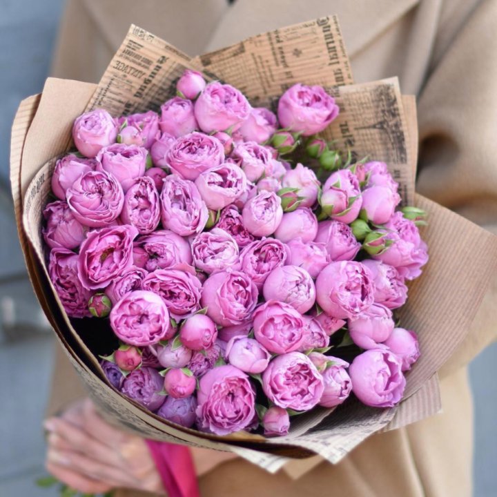 Роза Мисти Баблс в Владимире