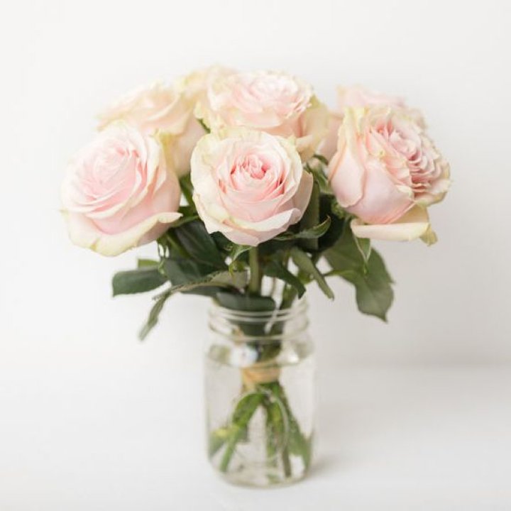 7 кремовых роз в Владимире