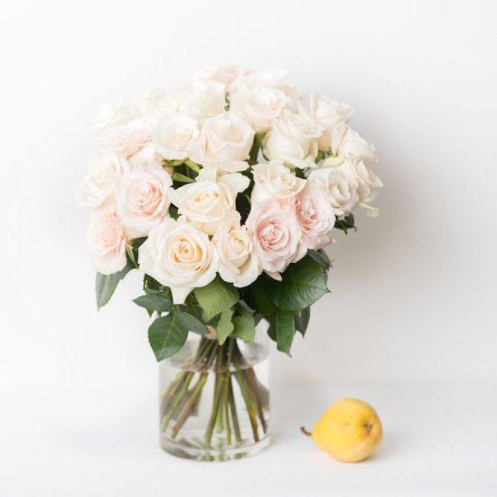 25 кремовых роз в Владимире