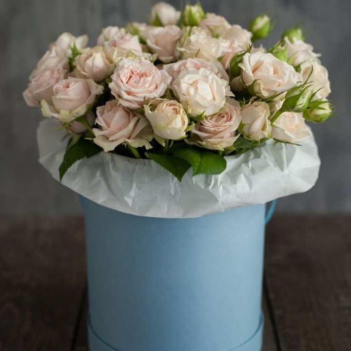 Бокс с бомбастиком в Владимире