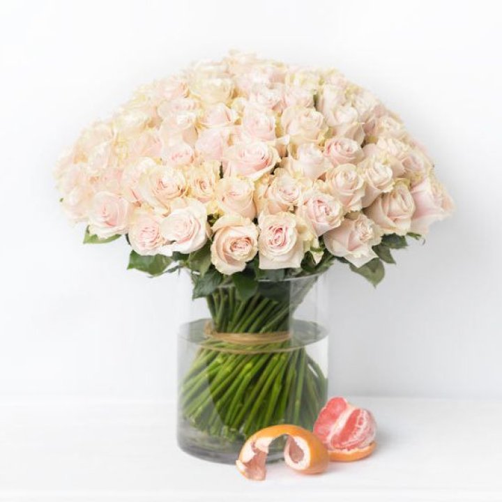 101 кремовая роза в Владимире