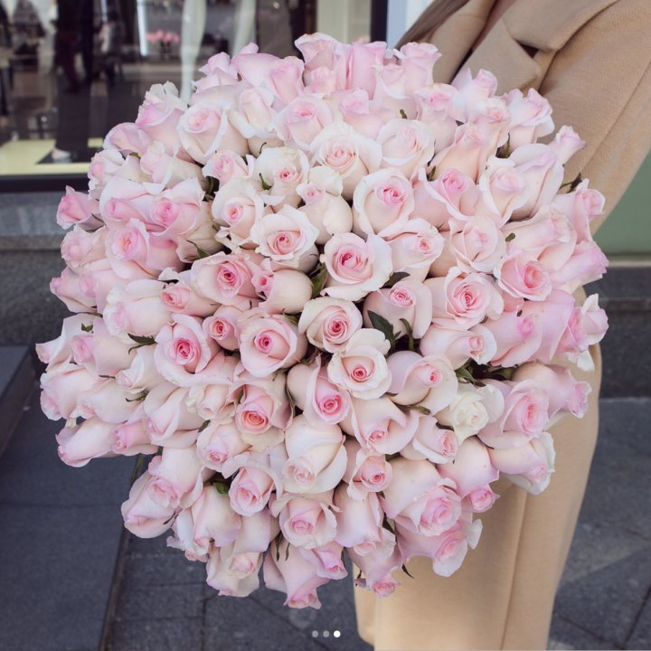 Розы "Пинк бум" в Владимире