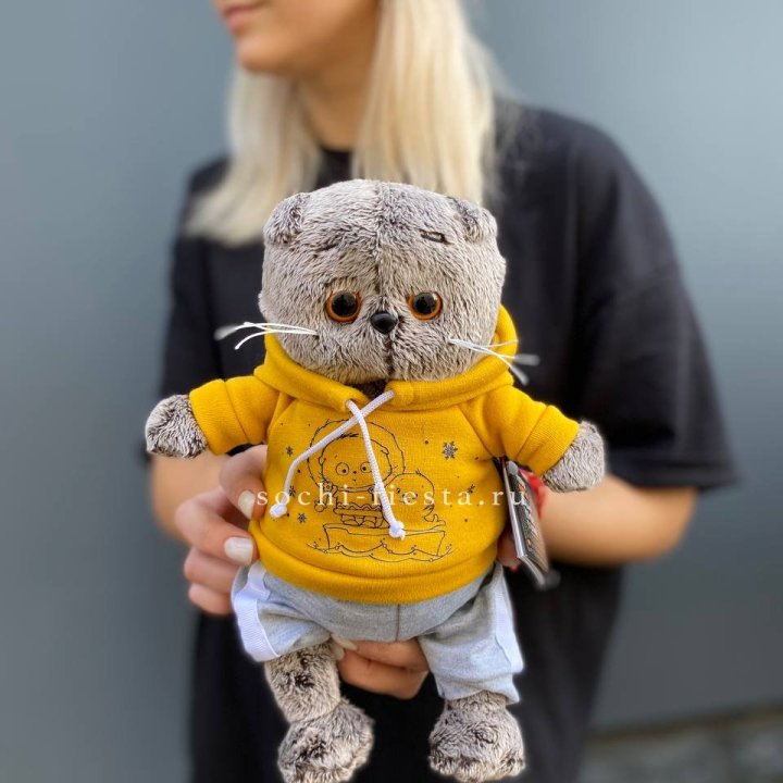 Кот Басик в худи в Владимире