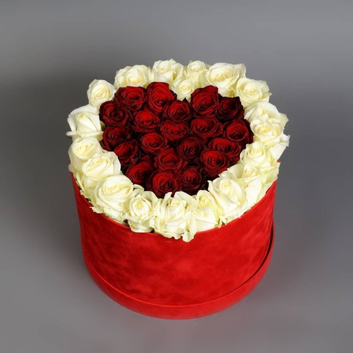 39 красных и белых роз в цилиндре в Владимире