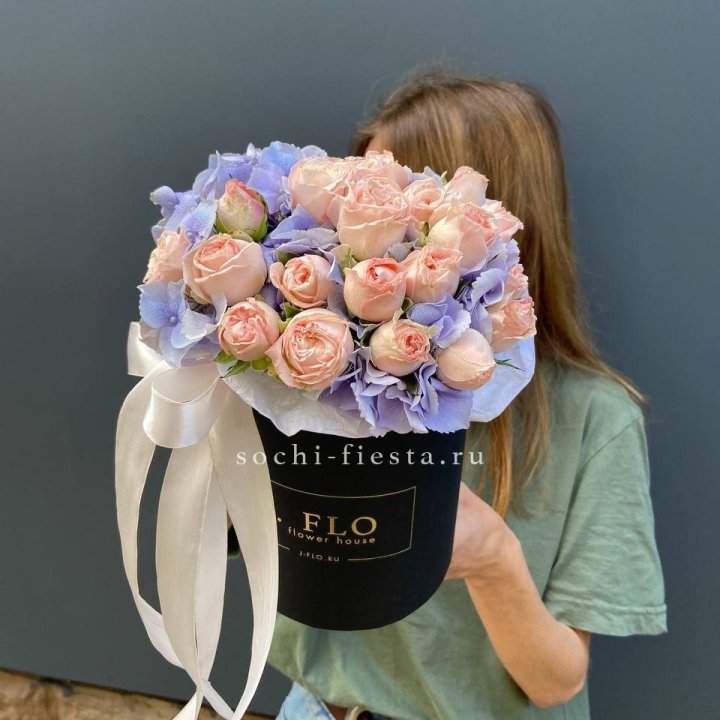 Бокс бомбастик и гортензия в Владимире