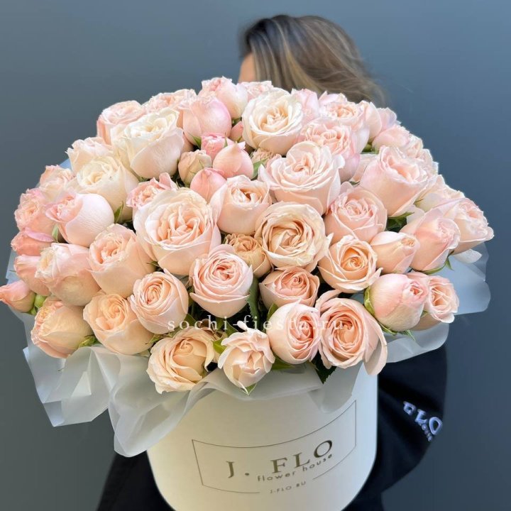 Бомбастик бокс Премьер в Владимире