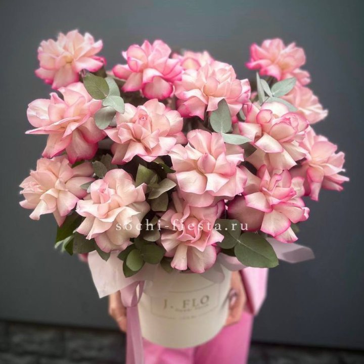 17 Французских  роз Венди в боксе в Владимире