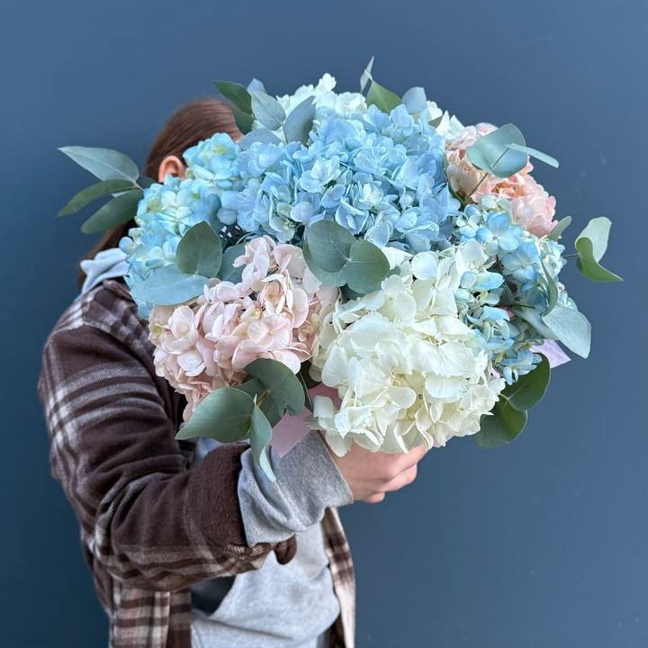 Гортензии в коробочке в Владимире