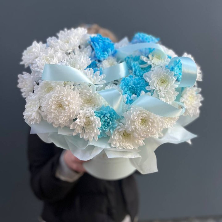 Хризнтемы в боксе в Владимире