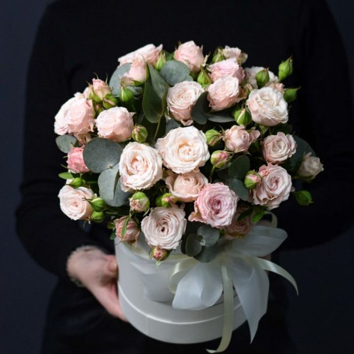 Бомбастик бокс №2 в Владимире