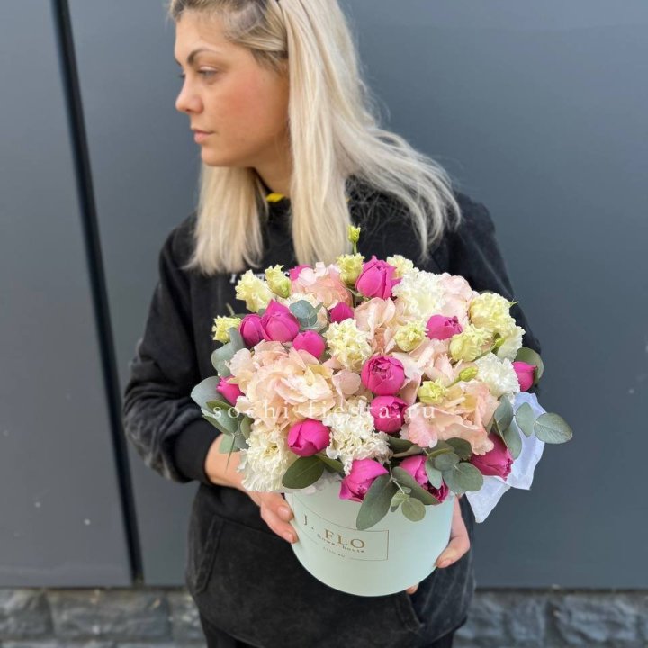 Сборный бокс премьер в Владимире