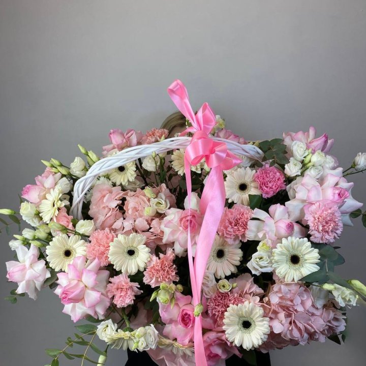 Корзина "Ионита" в Владимире