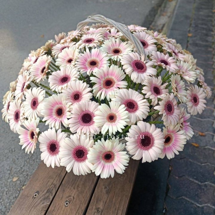 Корзина с герберами  в Владимире