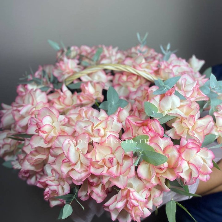 51 джумилия  в корзине   в Владимире