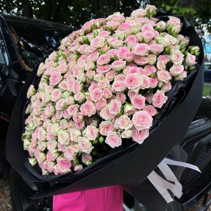 101 кустовая роза "Твистер" в Владимире