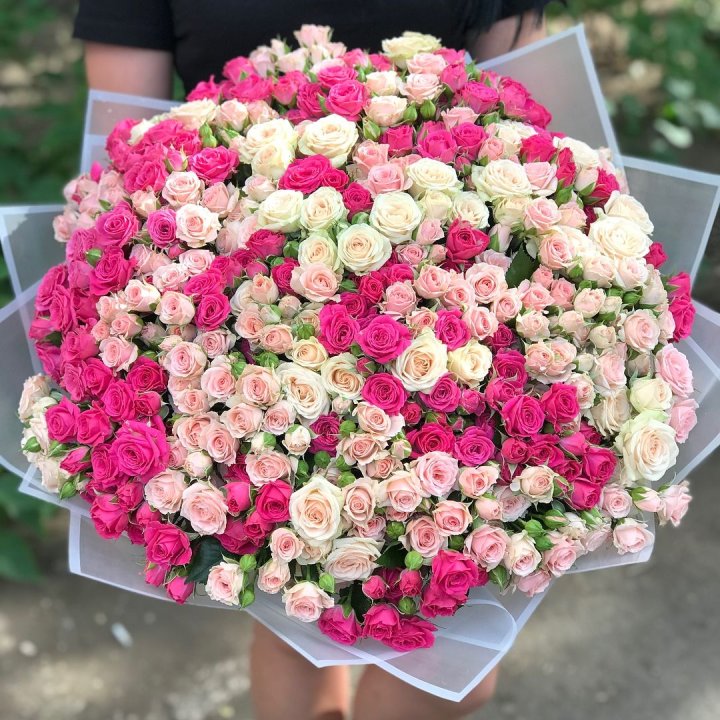 101 кустовая роза в Владимире