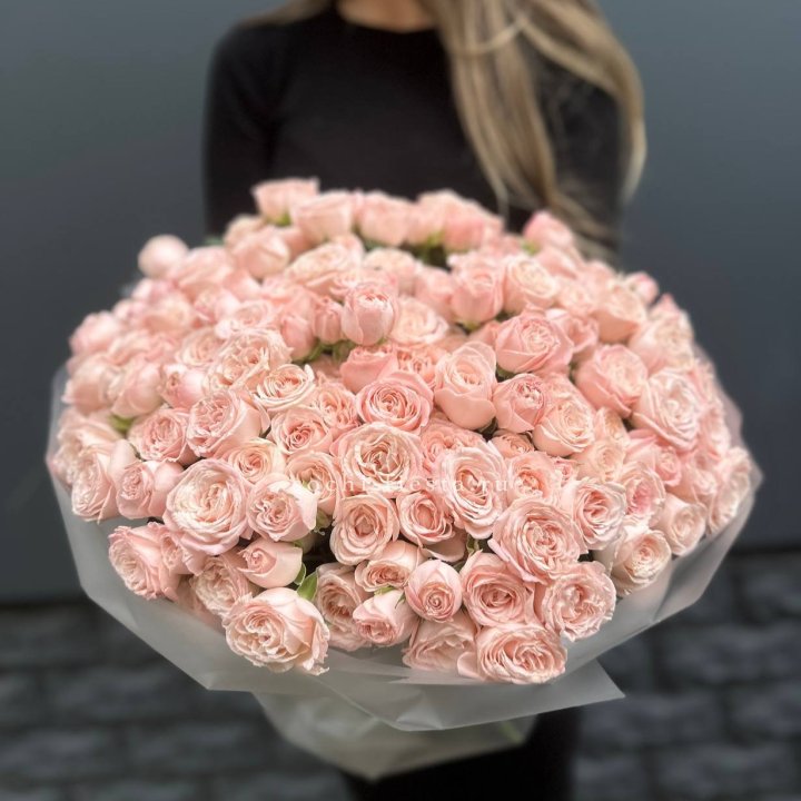 51 кустовая роза Бомбастик в Владимире