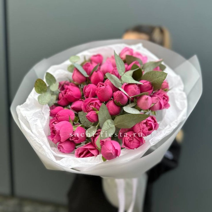 17 Мисти бабблс в Владимире