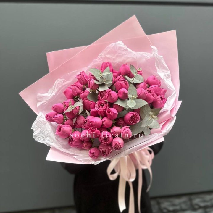 25 Мисти бабблс в Владимире