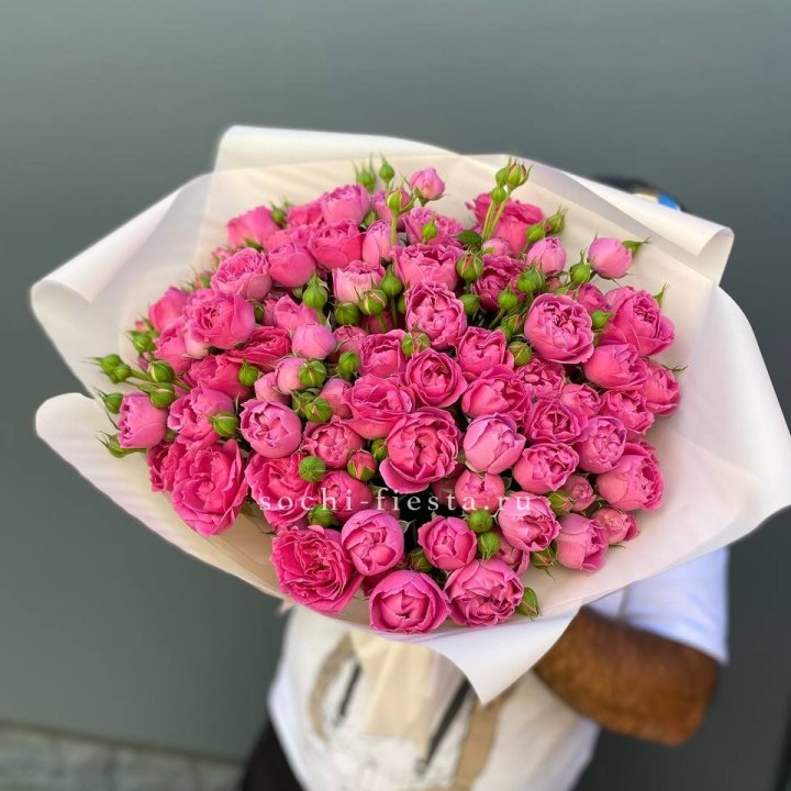 Мисти Баблс 35шт в Владимире