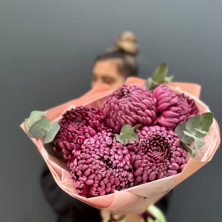 Хризантемы  Бигуди  в Владимире