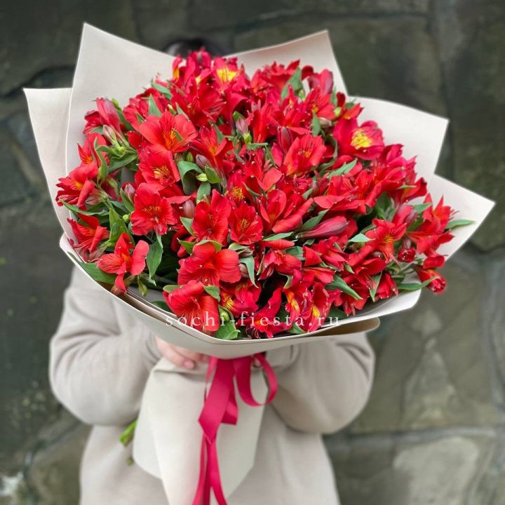 51 альстромерия в Владимире