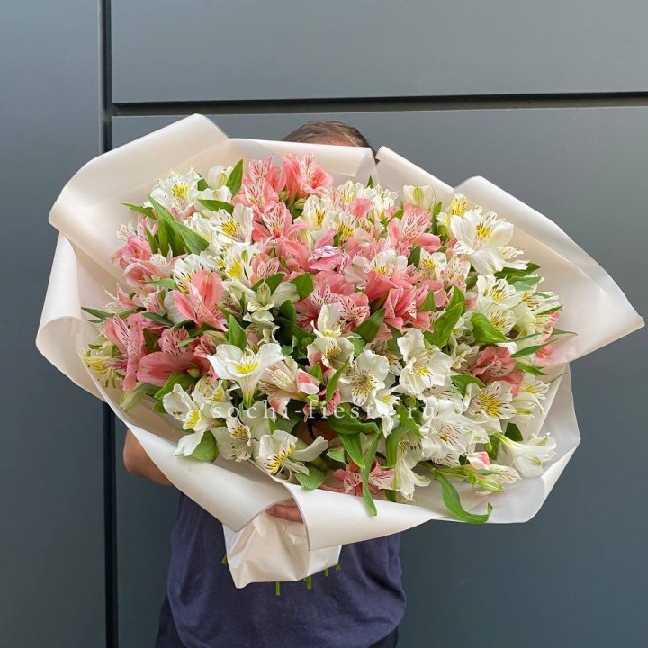 39 альстромерий в Владимире