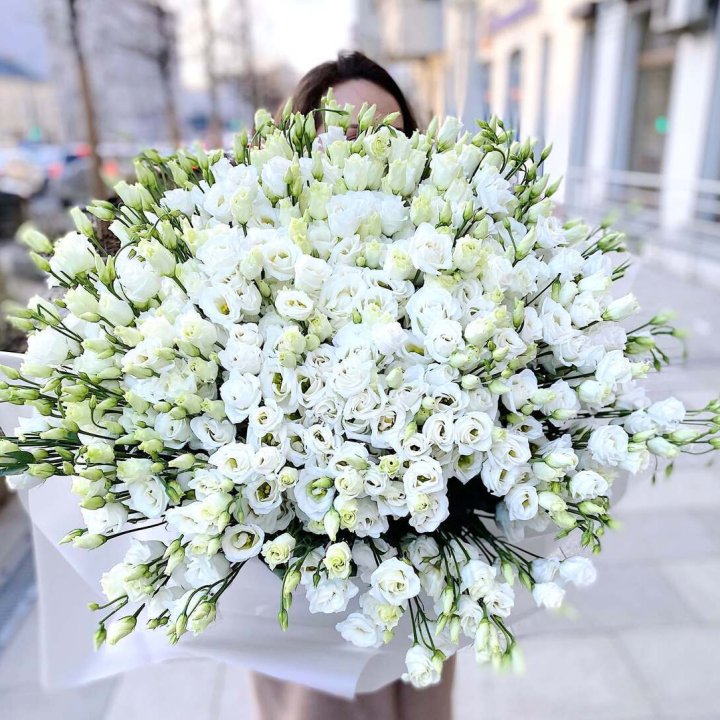 101 белая эустома в Владимире