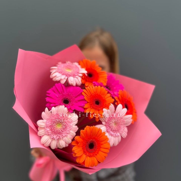 Краски в Владимире