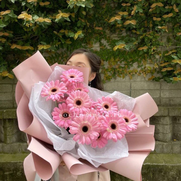 13 розовых гербер в Владимире