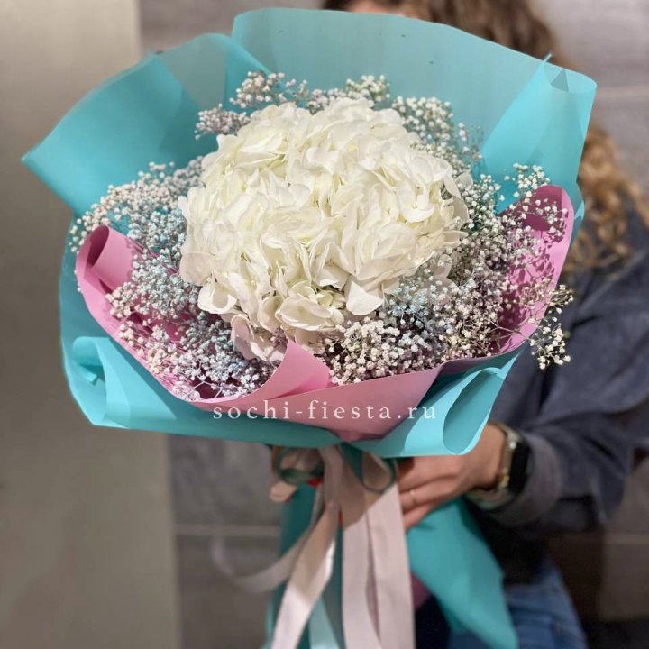 Гортензия "Райдов" в Владимире