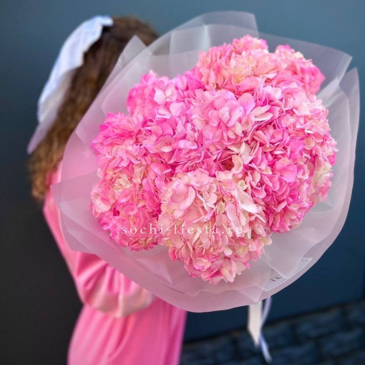 7 ярко розовых гортензий в Владимире