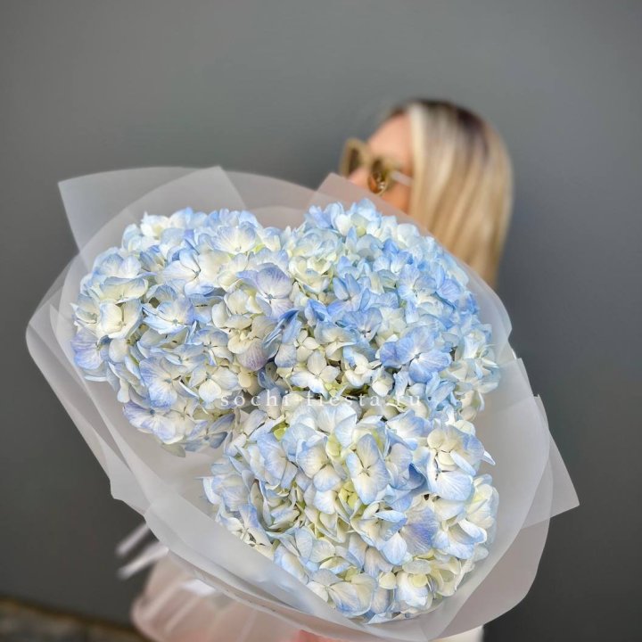 Букет из 3 голубых гортензий  в Владимире
