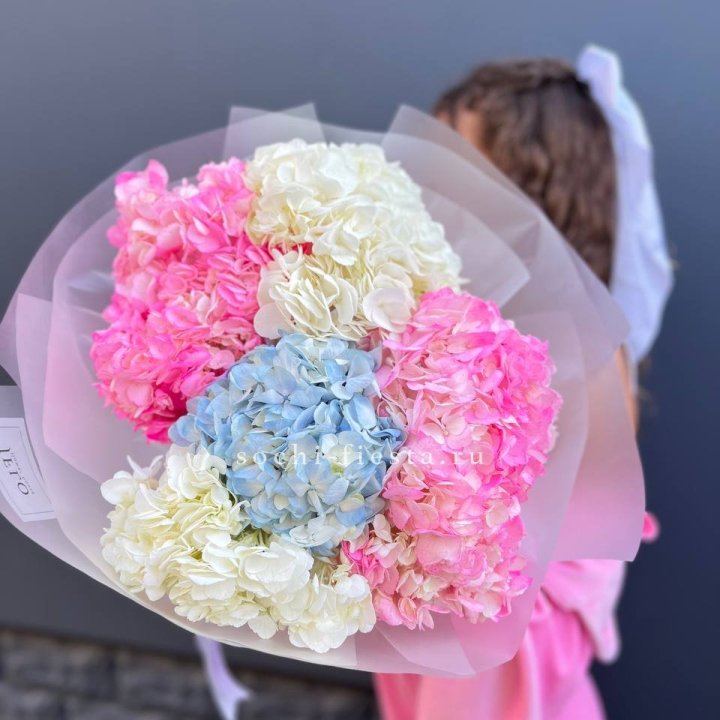 7 гортензий микс в Владимире