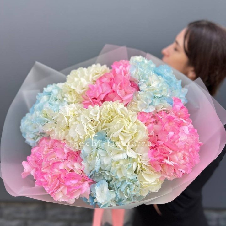 9 гортензий микс в Владимире