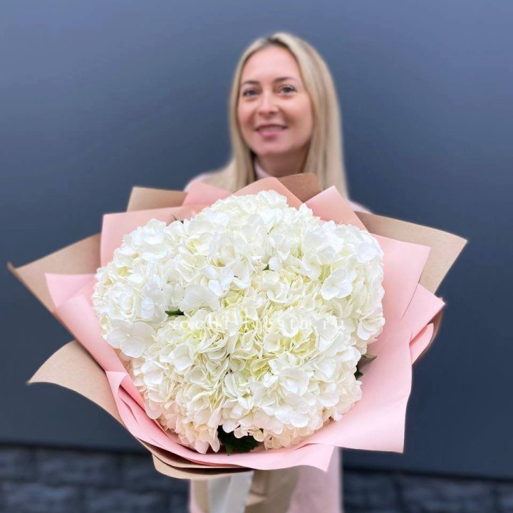 Гортензия белая в Владимире