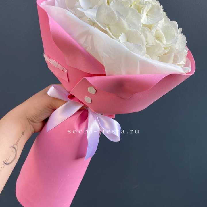 Гортензия в розовом пиджаке в Владимире