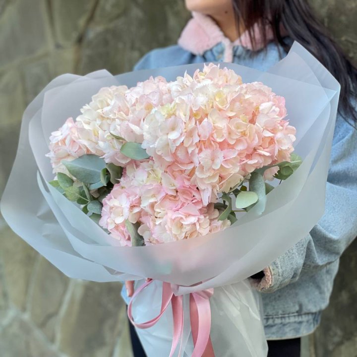 5 розовых гортензий в Владимире