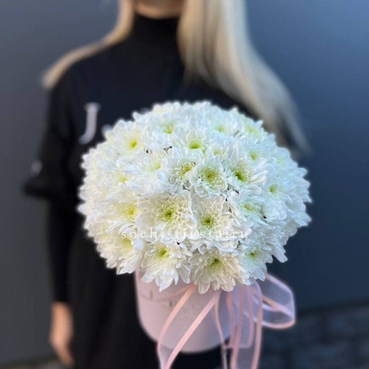 Коробка с хризантемами №1 в Владимире