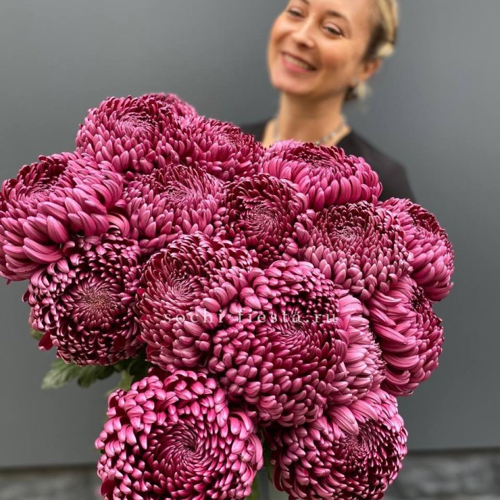 Охапка хризантем Бигуди в Владимире