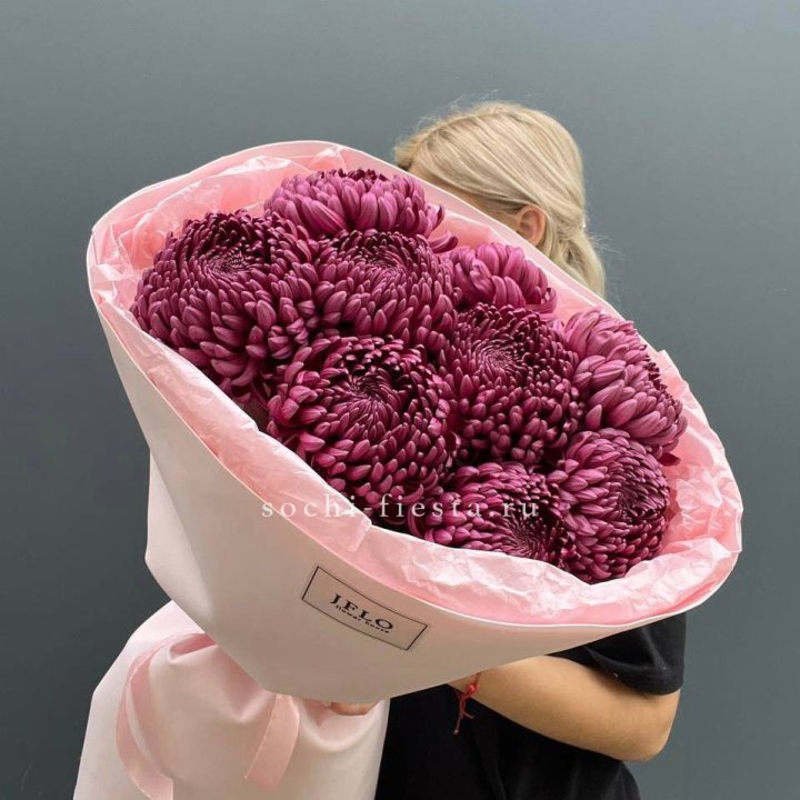 9 хризантем бигуди в Владимире