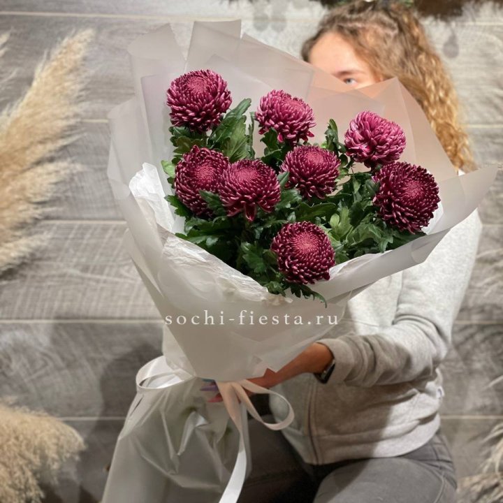 Хризантемы Бигуди в Владимире