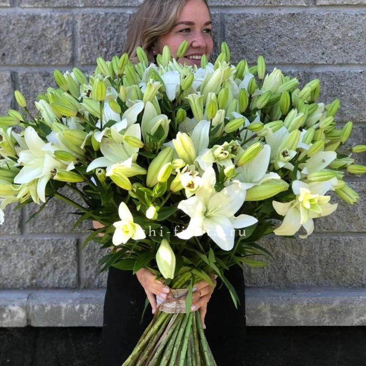 51 лилия в Владимире